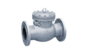 Клапан 19нж53нж Ду200 Ру40